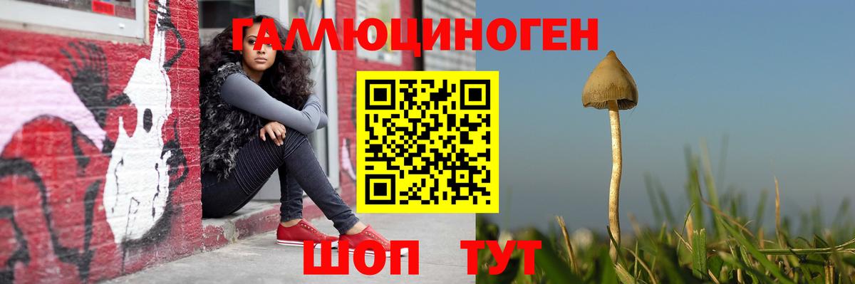 Галлюциногенные грибы MAGIC MUSHROOMS Бор